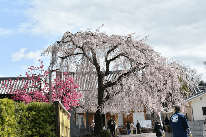 Chomyoji Temple