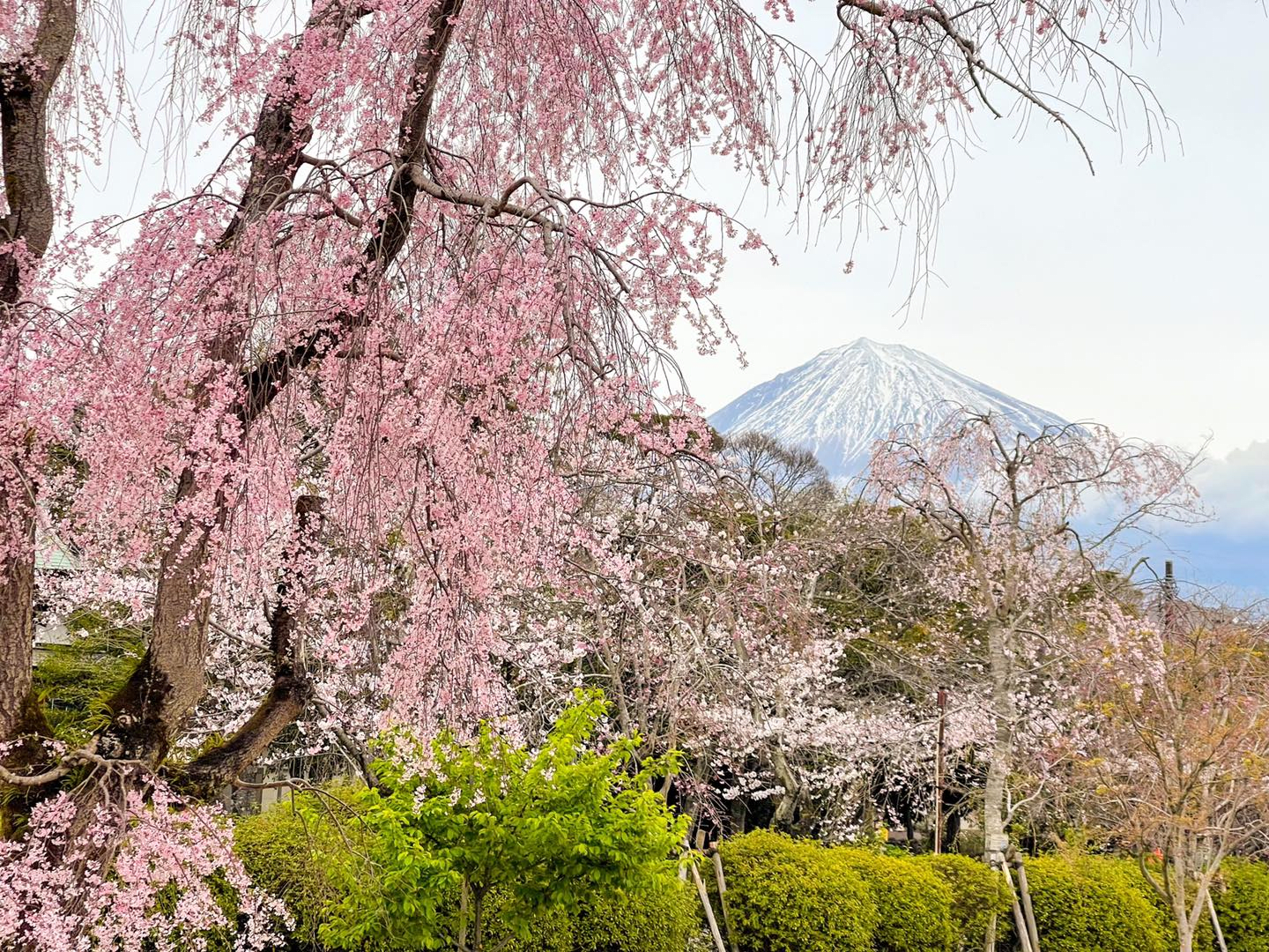 Fujisan Hongu Sengen Taisha Shrine