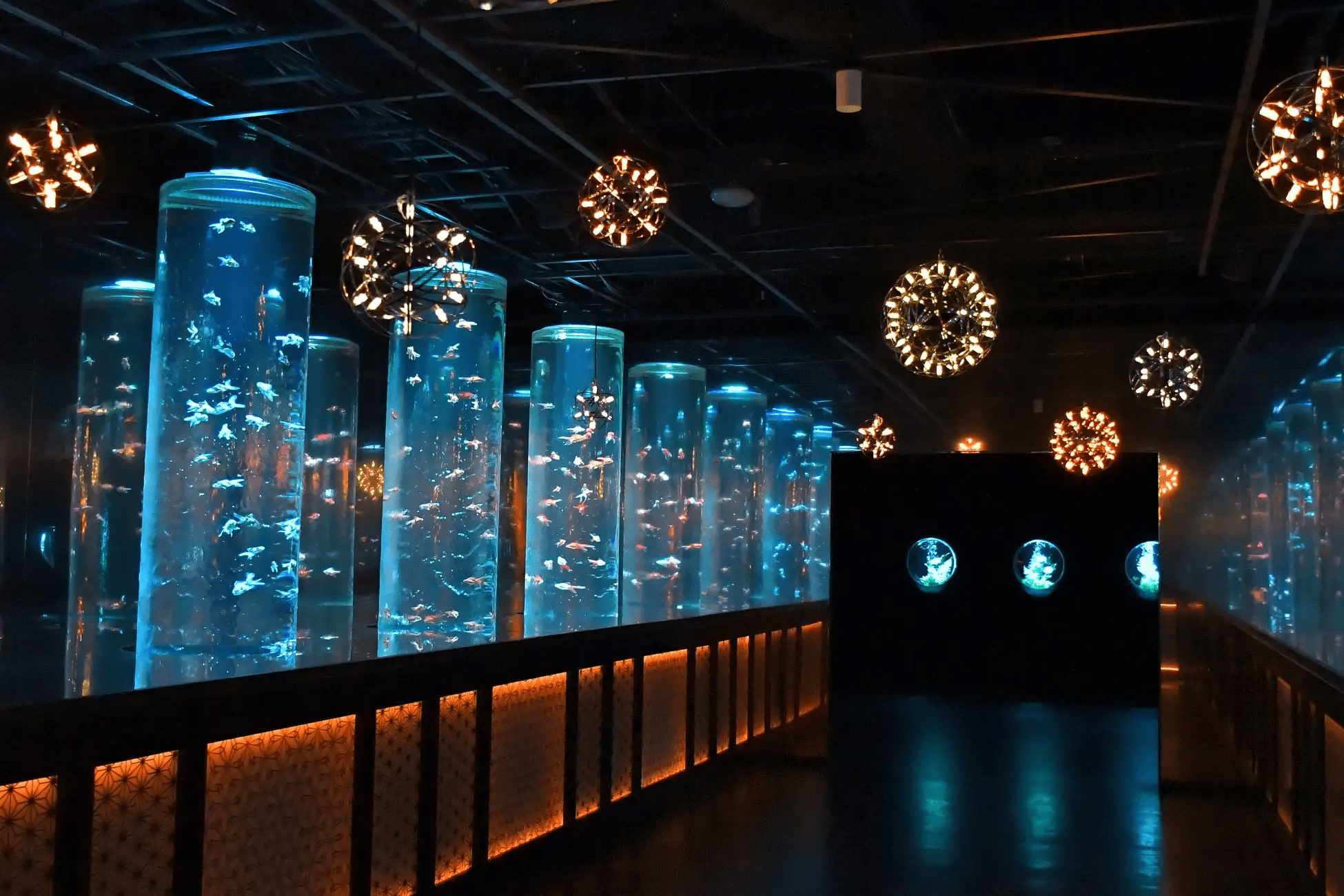 Ginza Art Aquarium Museum Winter Special Exhibition