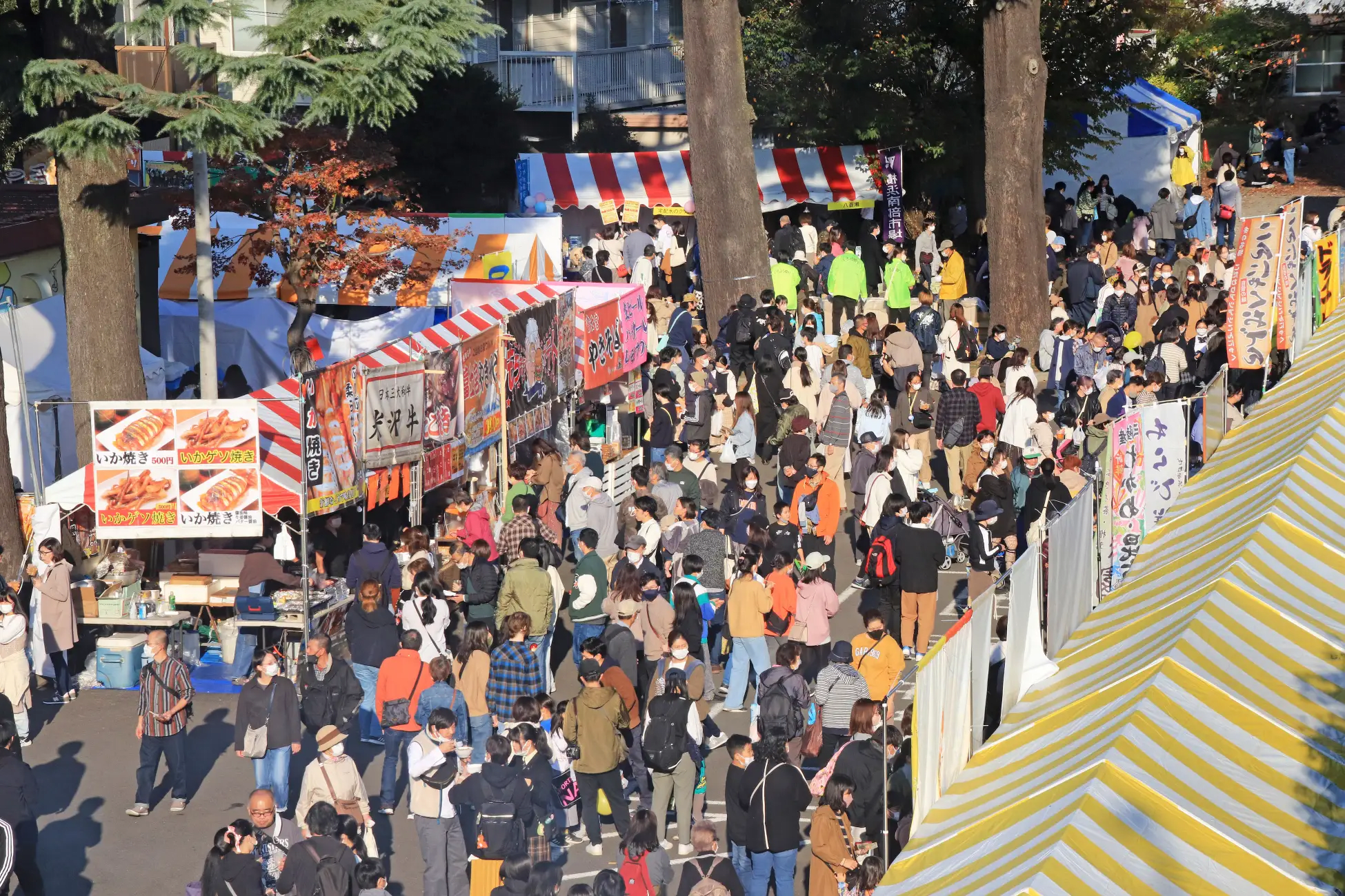 Hachioji Gingko Festival