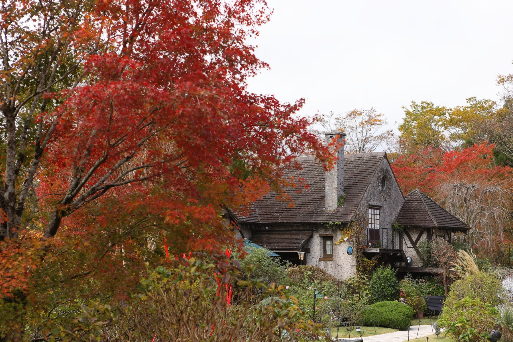 Collaboration of Japanese Plant Life with European-style Gardens and Architecture