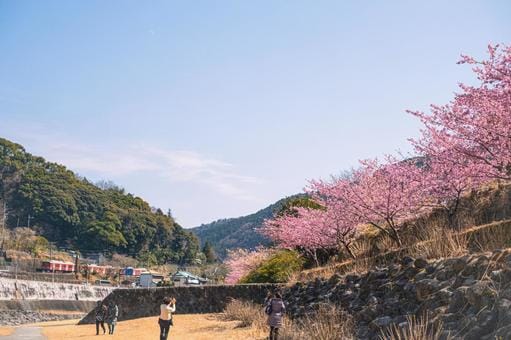 Hakone in Spring