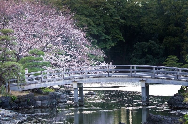 Hamarikyu Gardens