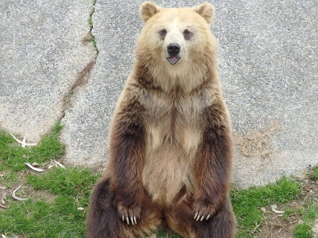 Himeji City Zoo