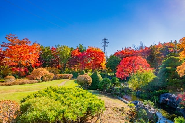 Hiraoka Arboriculture Center