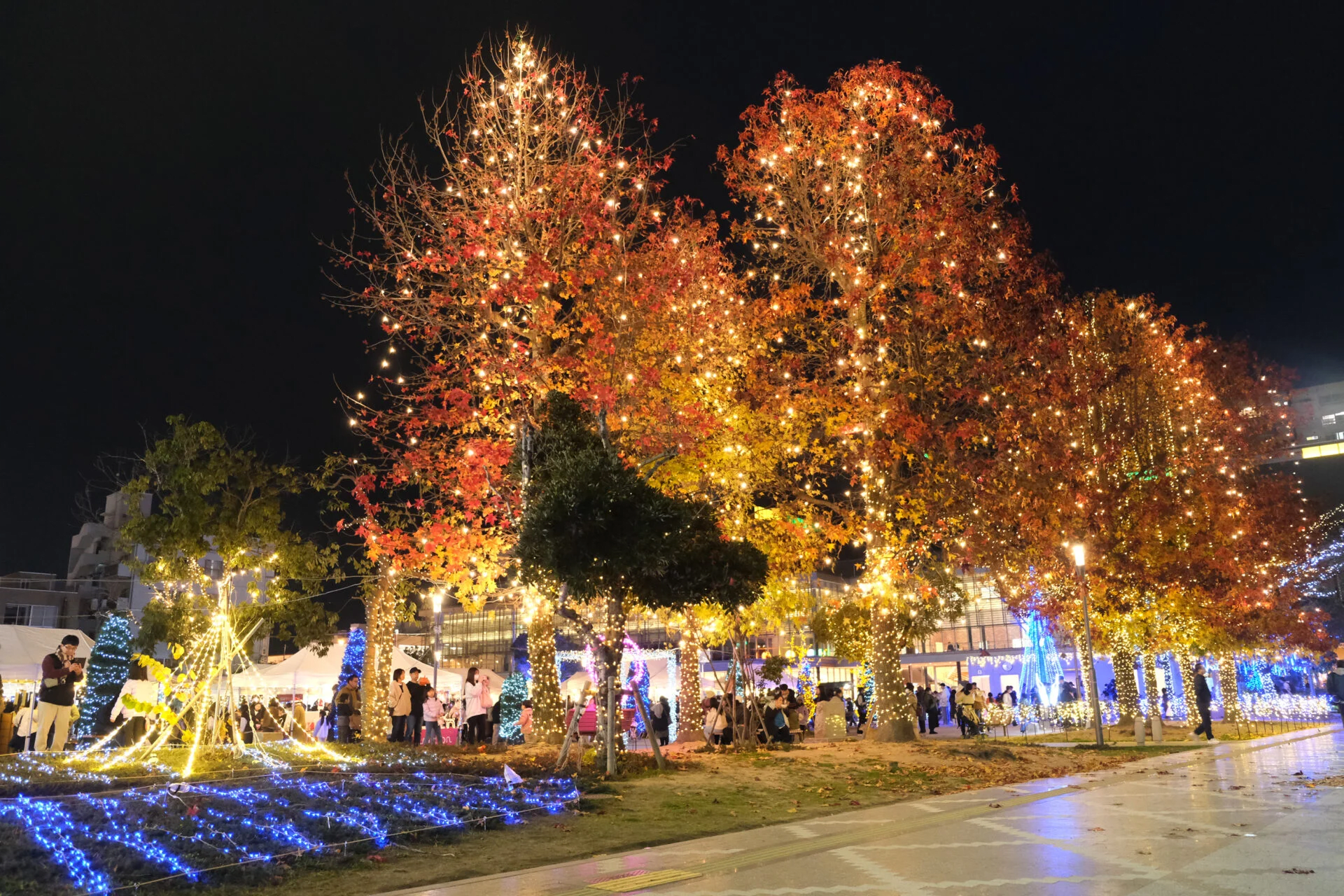 Higashihiroshima Towaie 2025-2026