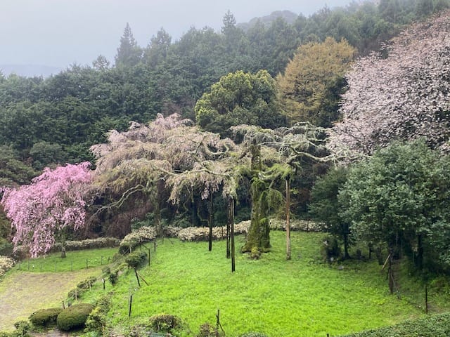 Chokozan Shotai-ji Temple