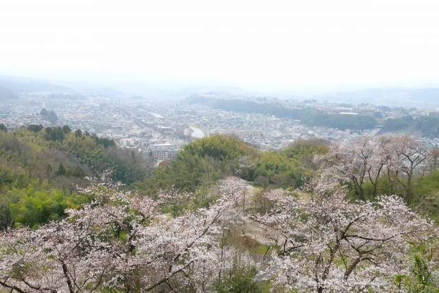 Four Seasons of Nature with Completely Different Scenery Depending on the Season