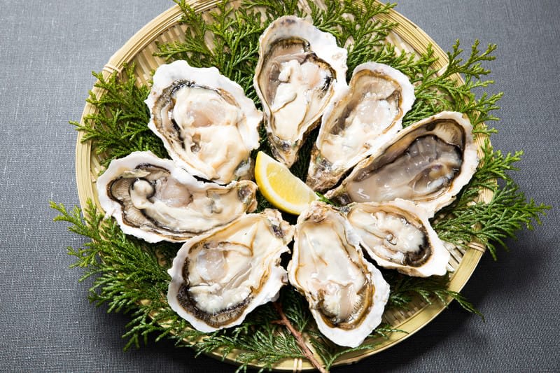 Kanazawa Winter  Oysters
