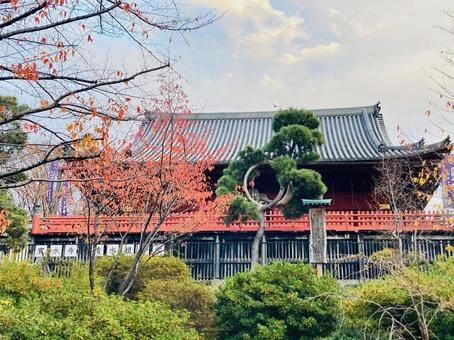 Kiyomizu Kannondo in Fall