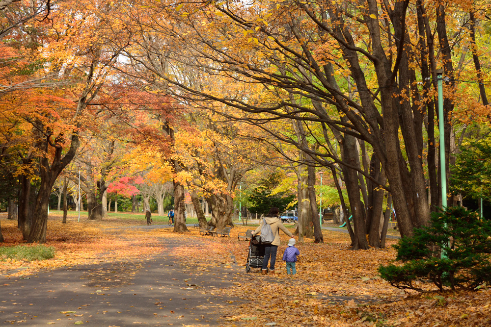Maruyama Park