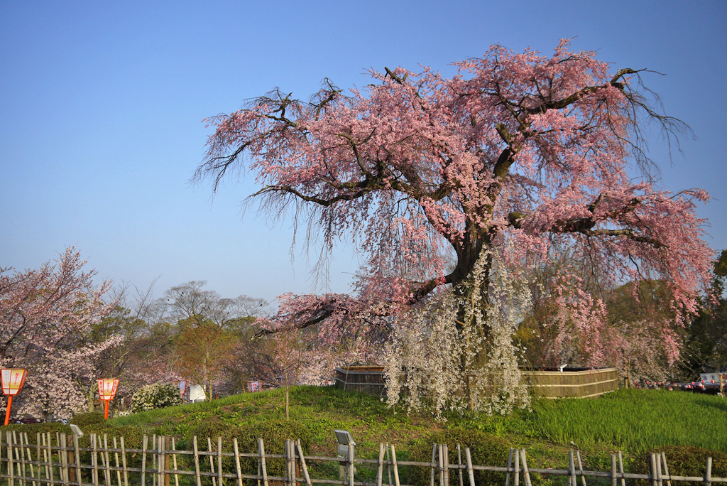 Maruyama Park