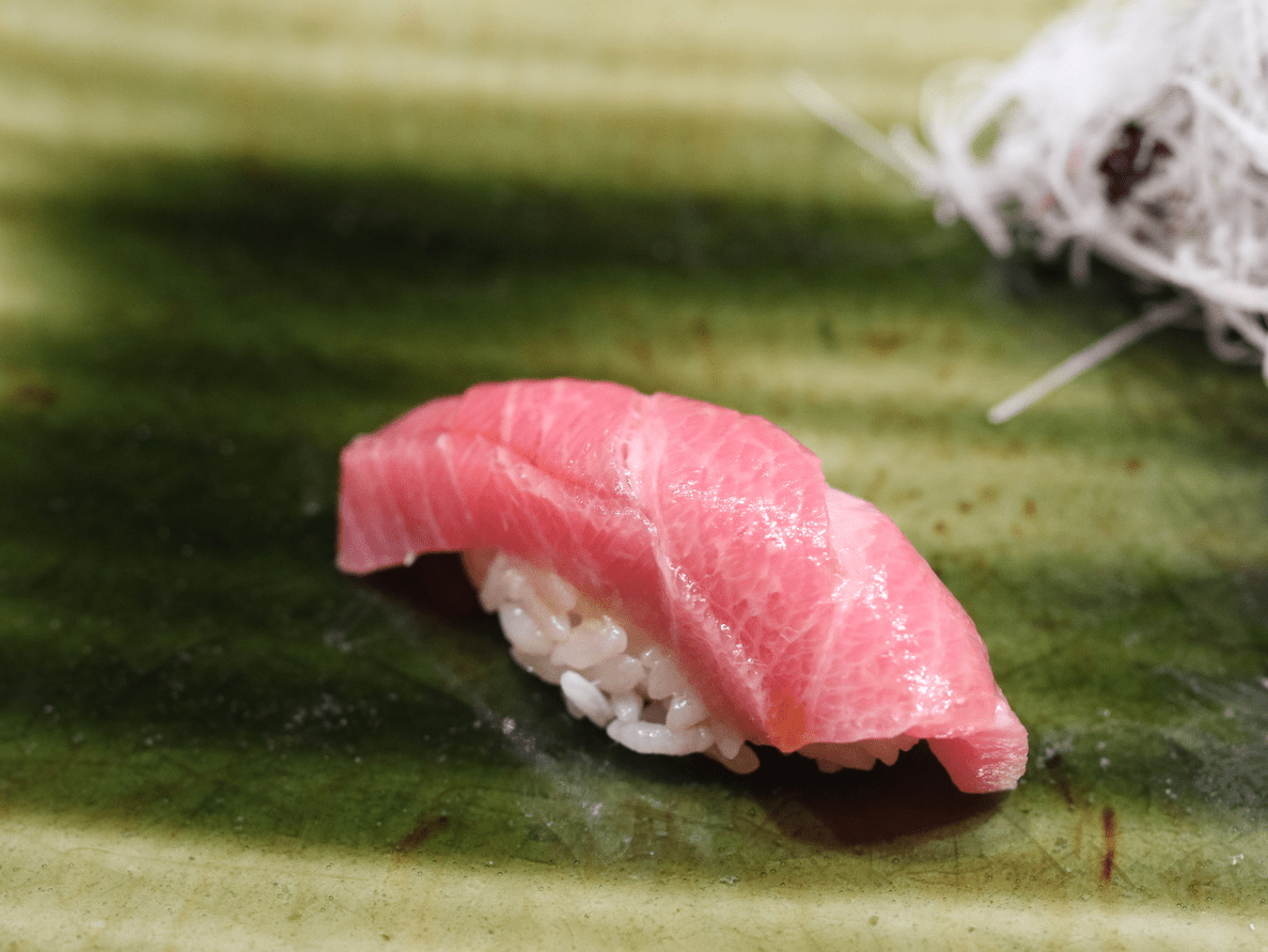 Medium-Fatty Tuna