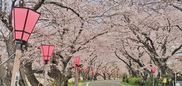 Meiji Jingu Gaien