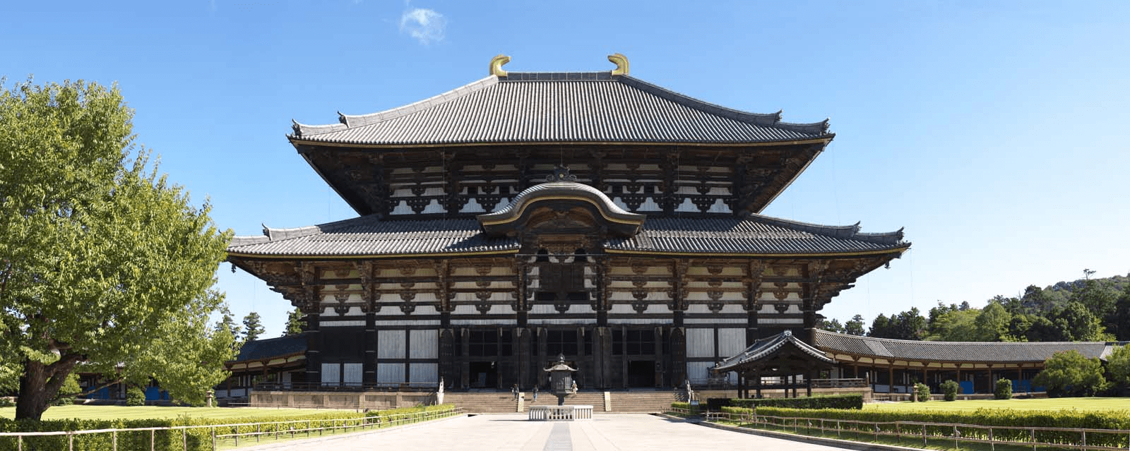 Nara's Appeal