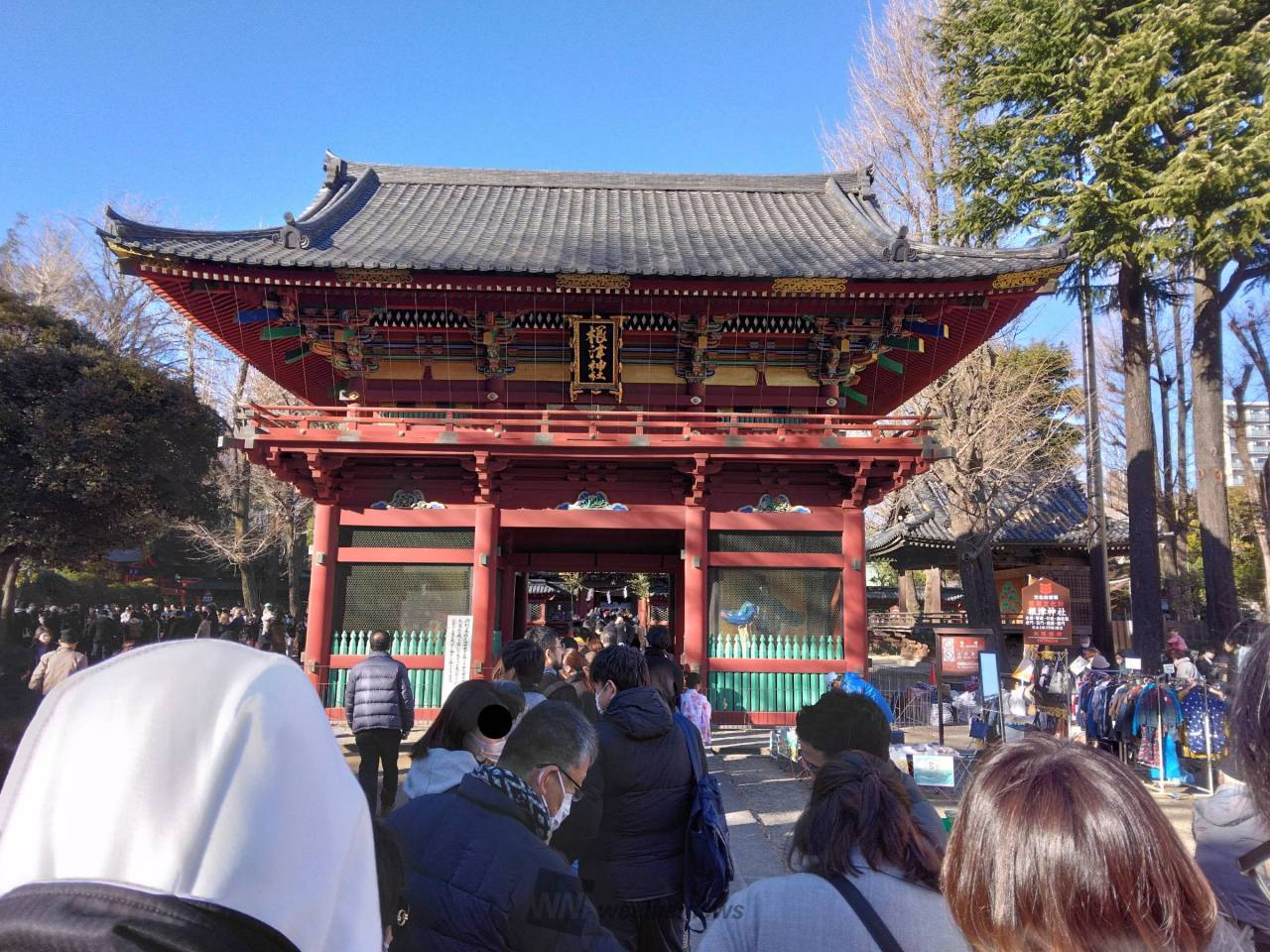 Nezu Shrine25