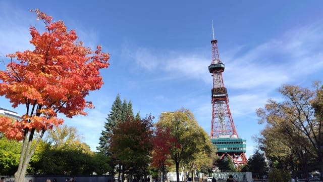 Odori Park