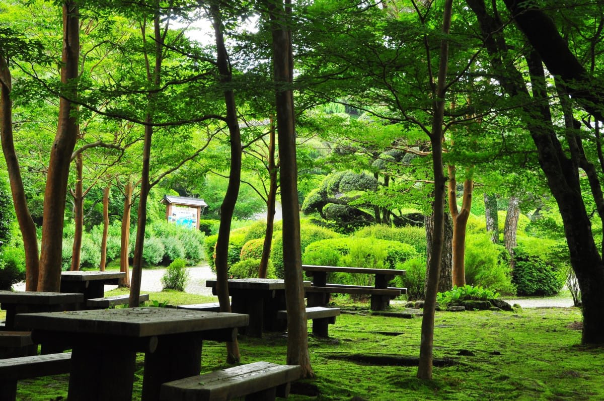 Onshi-Hakone Park