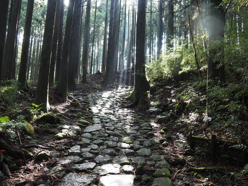 Hakone Park