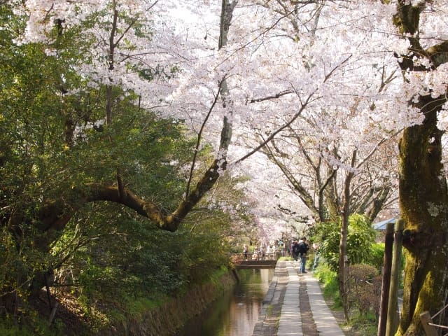 Philosopher's Path