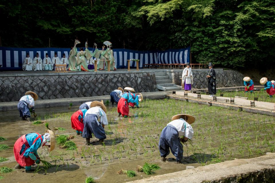 Rice Planting Festival (Taue Festival)