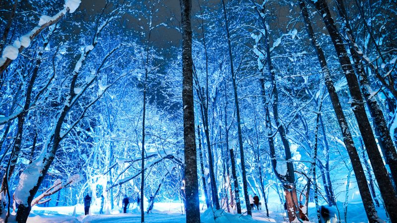 Yukitouro 2026 (Snow Candle Way) FINAL