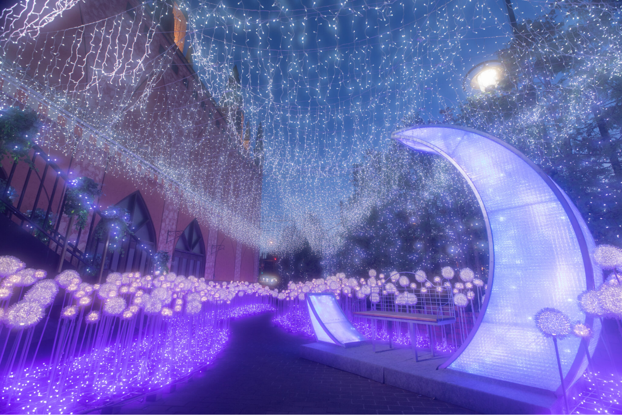 Miyanomori Frances Church Illumination