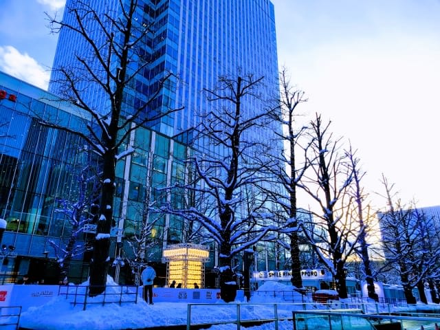 Must-See Events in Sapporo in January