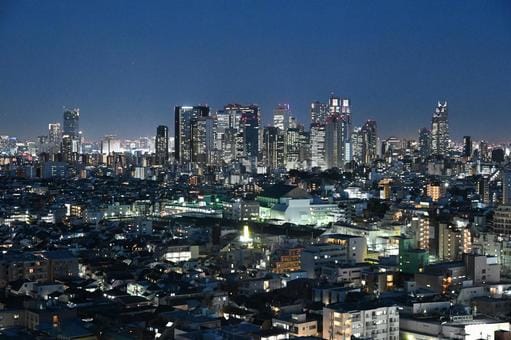 Shinjuku at Night