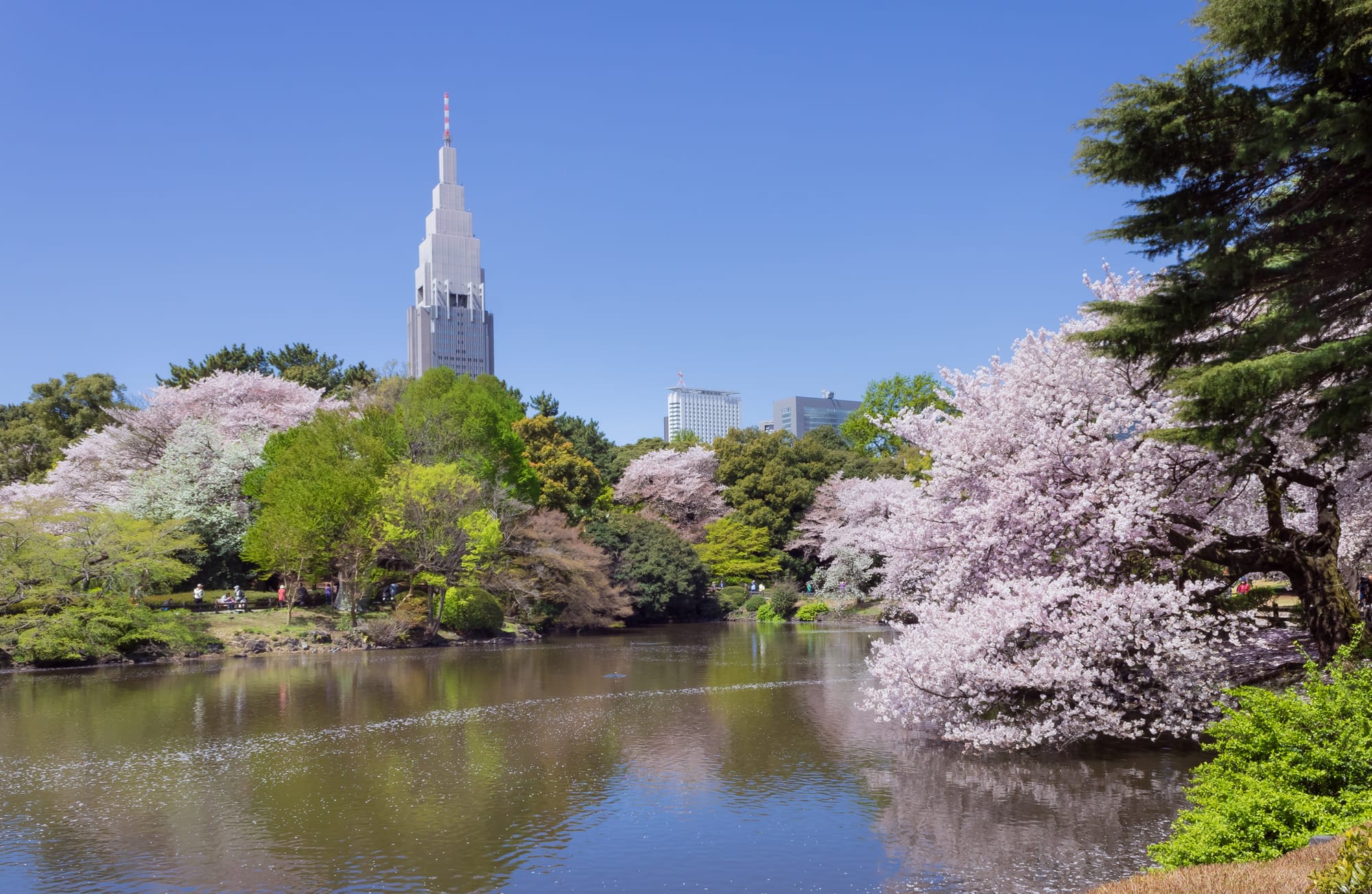 Shinjuku Gyoen