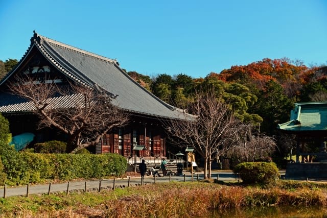 The Collaboration of Autumn Foliage and Traditional Streetscapes