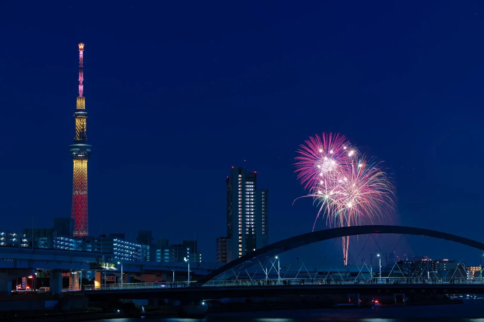 Tokyo Fireworks