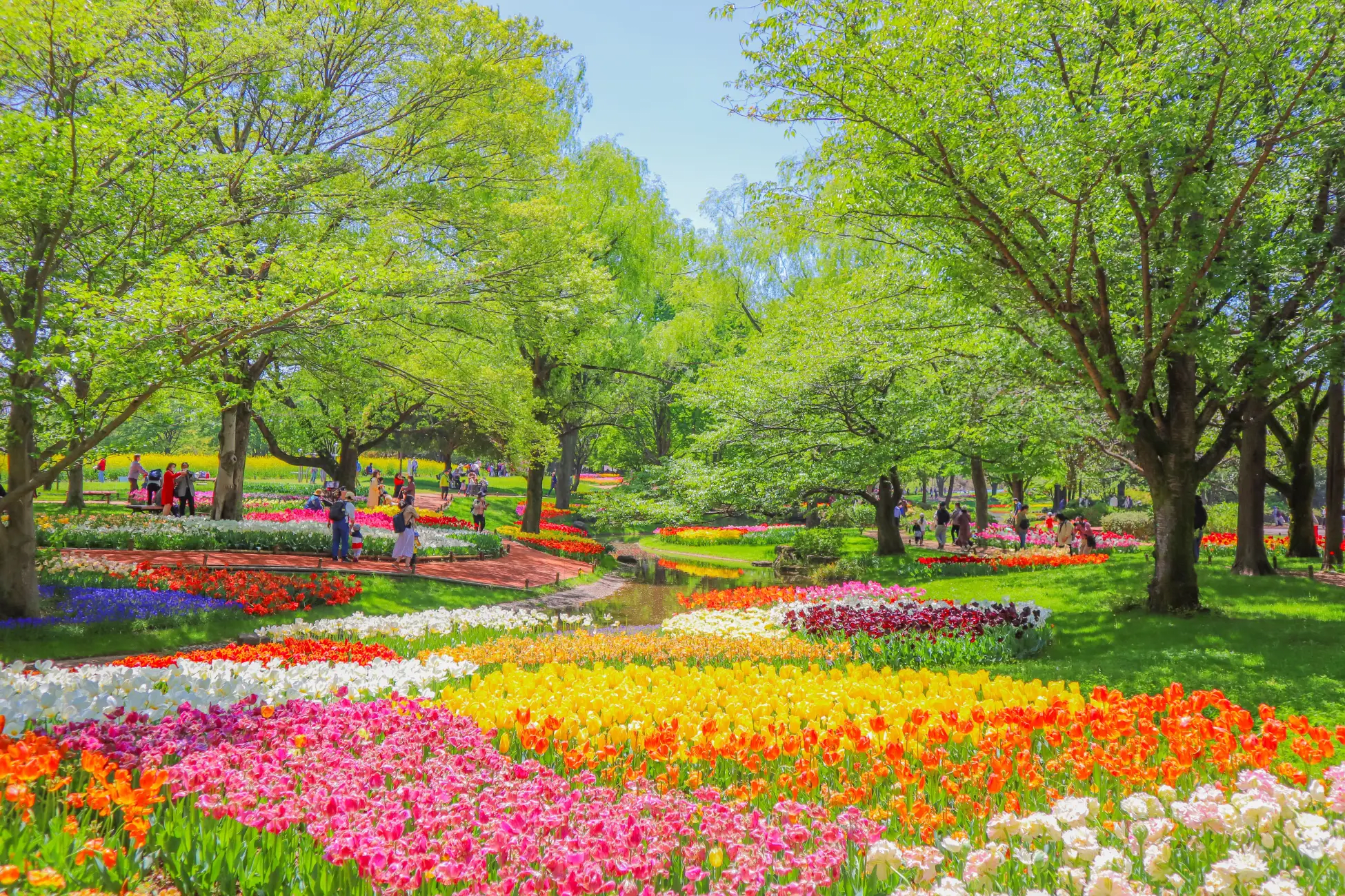 Flower Festival at Showa Kinen Park