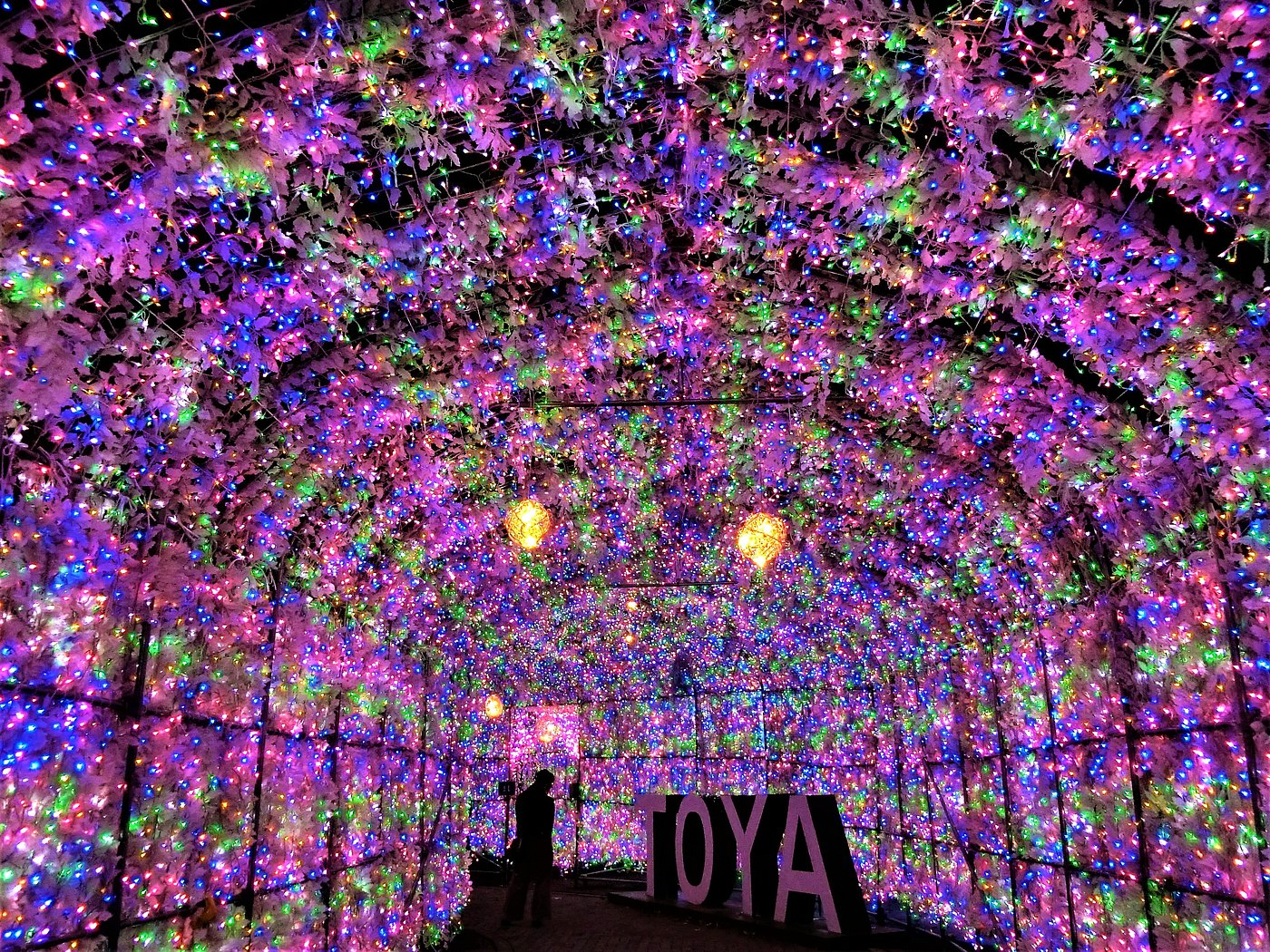 Winter: Illumination Tunnel