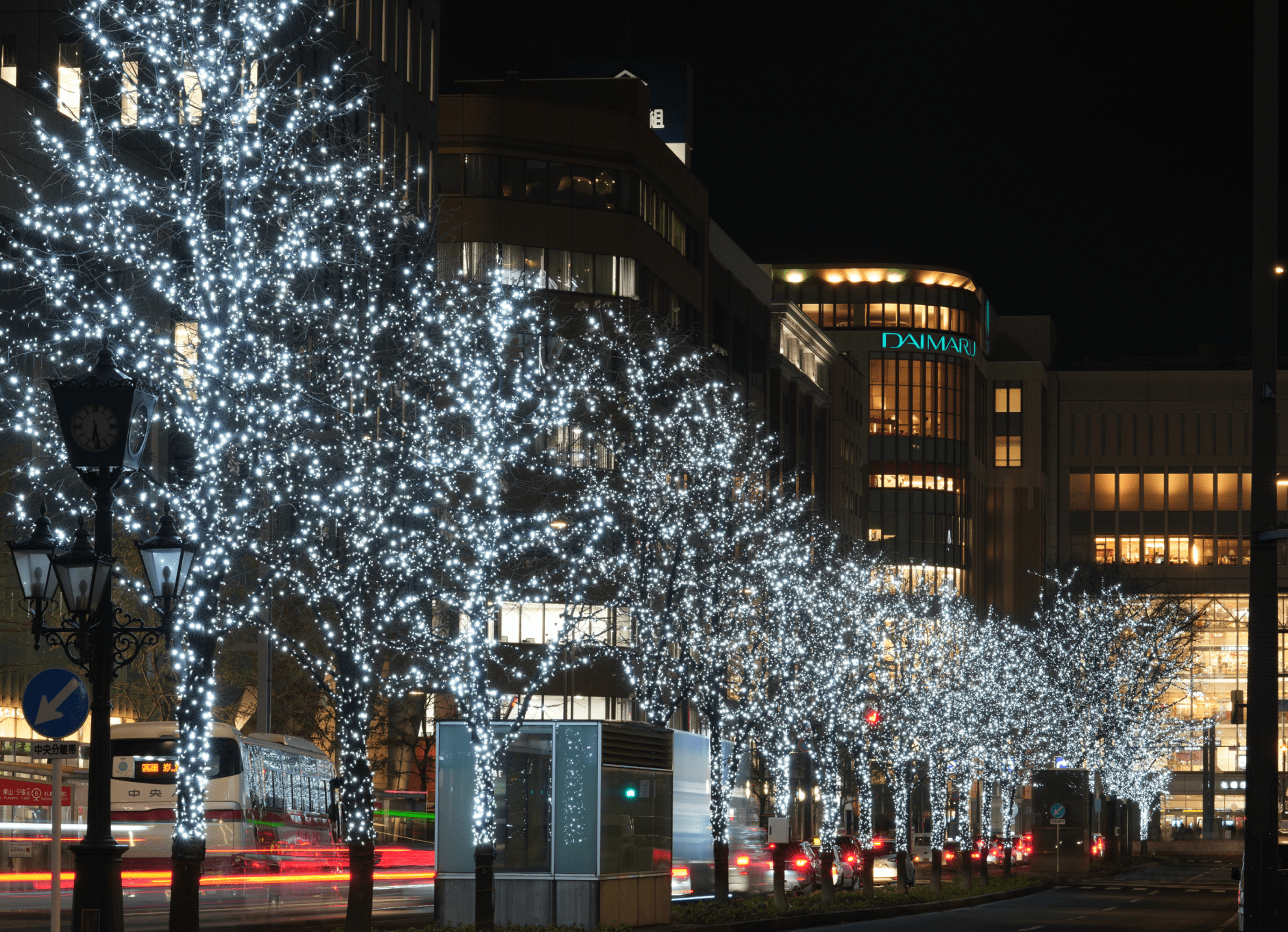 Trees Illuminated Over Approximately 1.5km