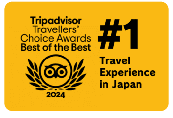 Tripadvisor no.1 travel experience