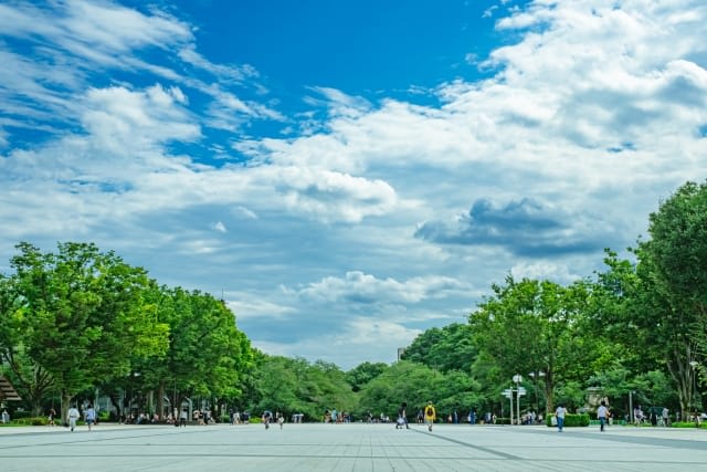 Overview of Ueno Park Where the Ueno Summer Festival is Held