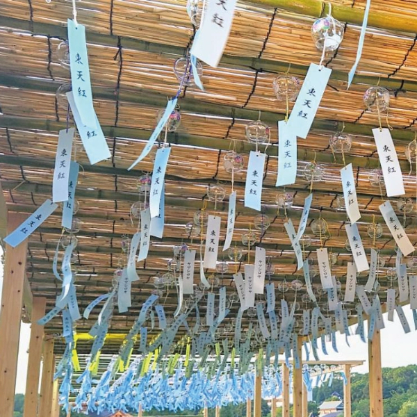 To See the Ueno Summer Festival's Traditional Specialty "Rin-Rin Corridor" with Your Own Eyes