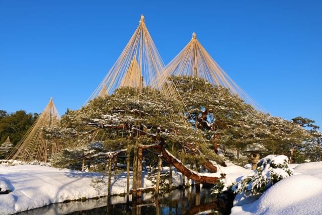 Winter in Kanazawa kenrokuen