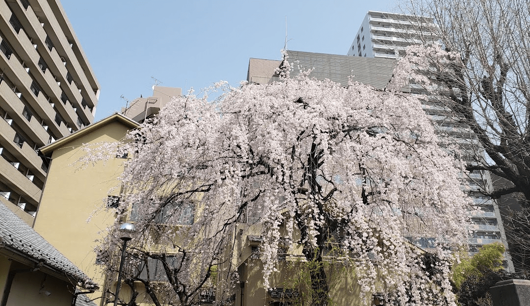 Zenshouji Temple