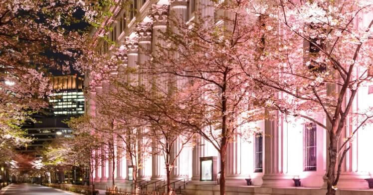 Nihonbashi Sakura Festival