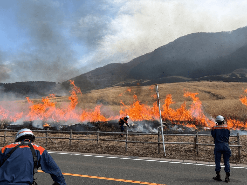 The Hakone Event March 2026 I Most Recommend: The Yamayaki (Controlled Burn) at Sengokuhara Susuki Grassland
