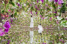 teamLab Planets TOKYO DMM