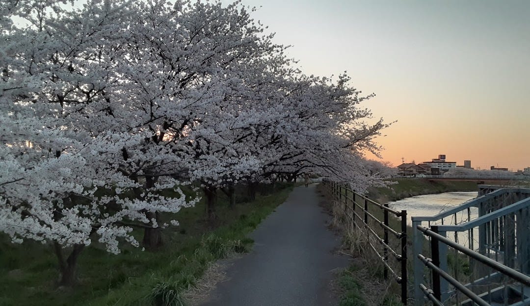 Fushimi River