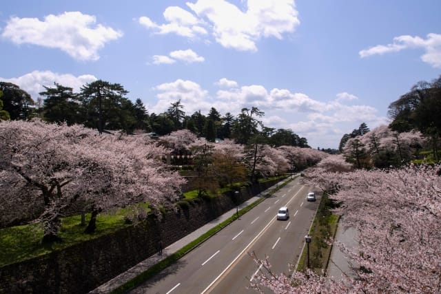 Must-See Events in Kanazawa in April