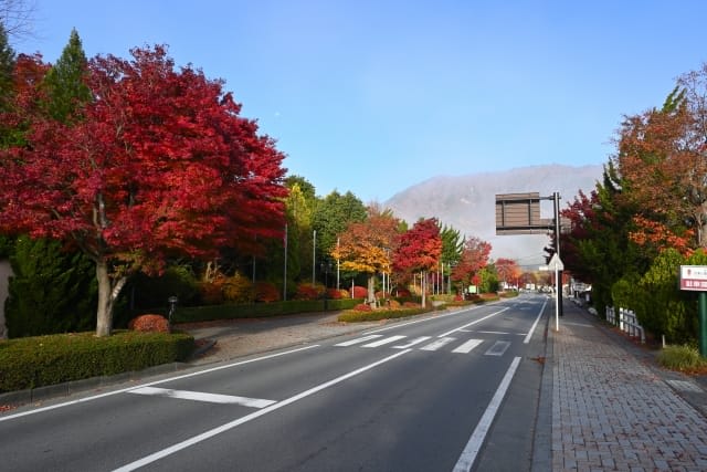 What is Momiji Highway?