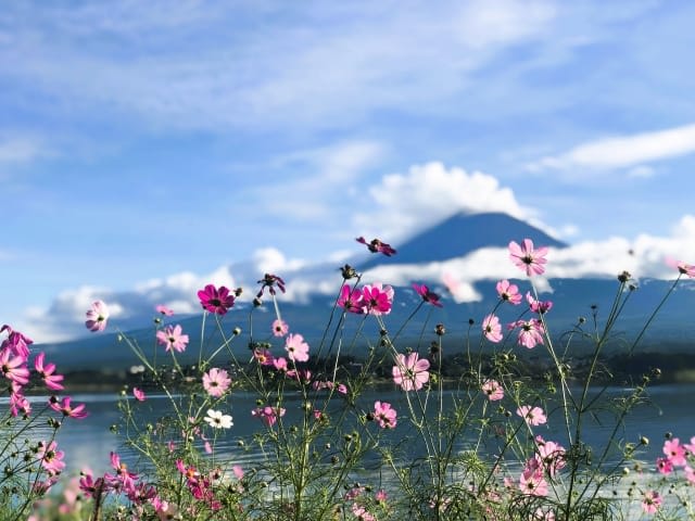 mountfujiautumn1.jpg