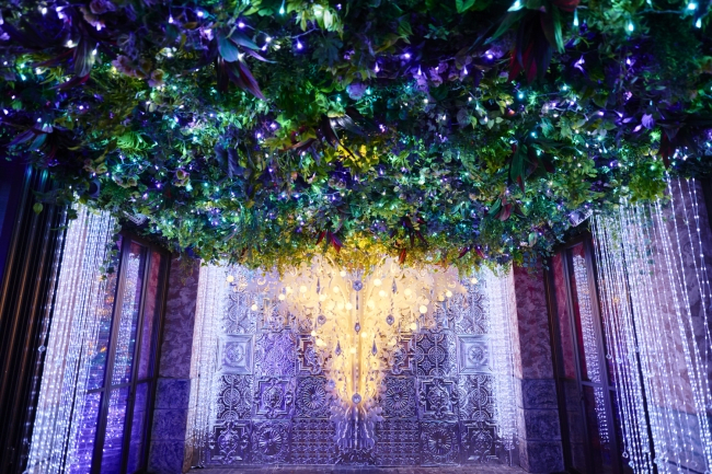 Miyanomori Frances Church Illumination Garden