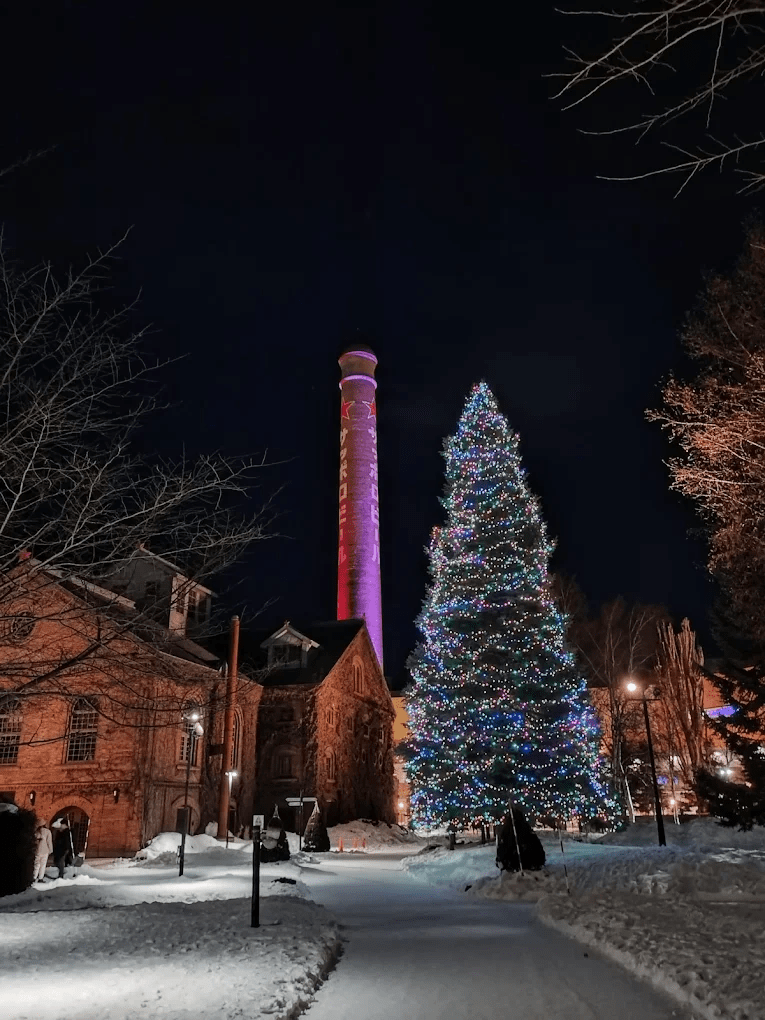 Sapporo Garden Park Winter Illumination