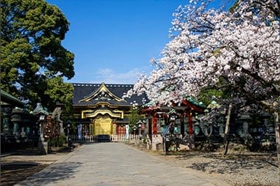 Ueno Toshogu Shrine